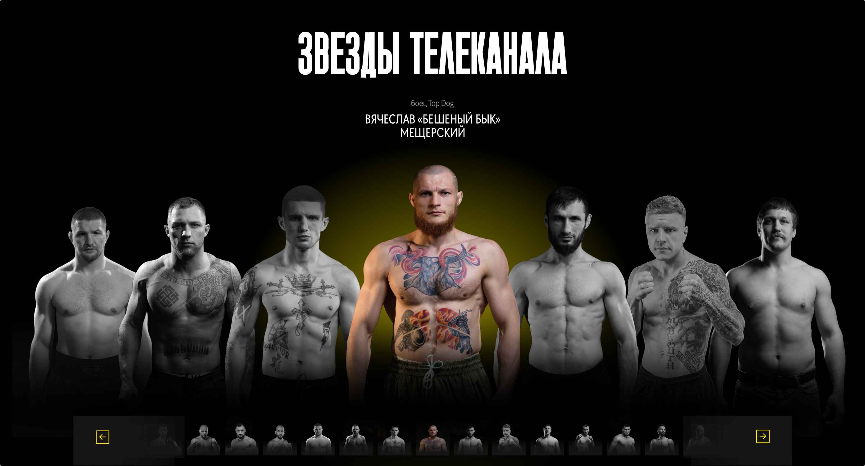 Udar. Одностраничный сайт. Изображение 2